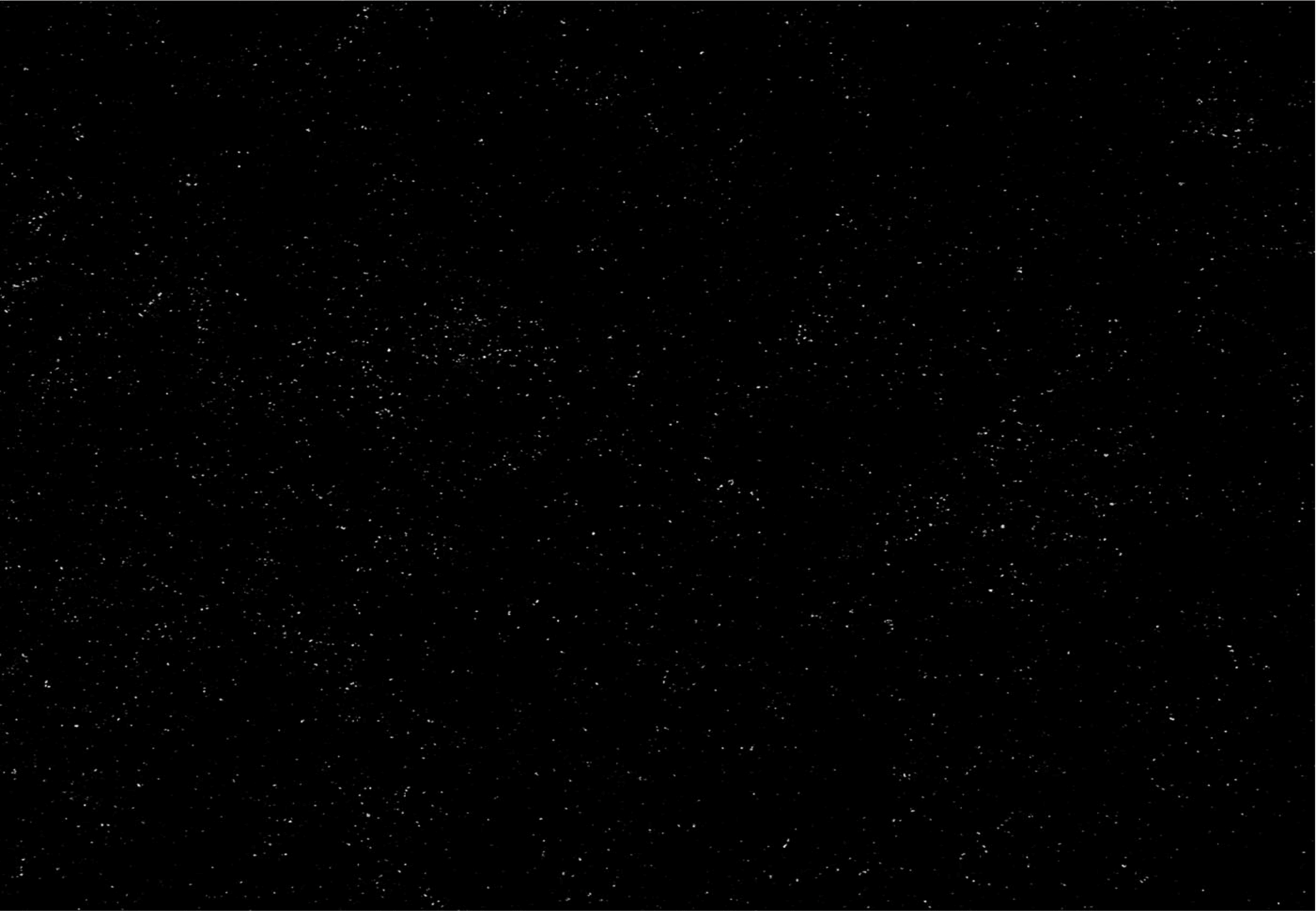 stars